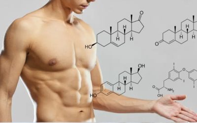 เทคนิคปรับสมดุลร่างกายเพื่อเพิ่มความอึดทนท่านชาย
